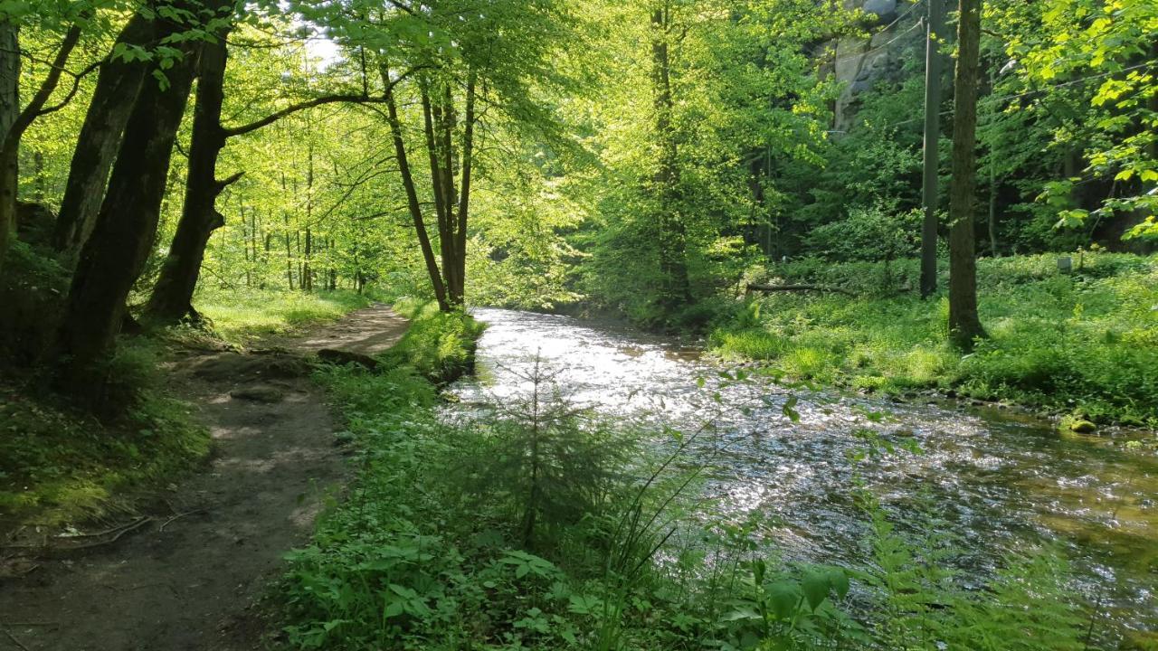 Pension Goldstueck Bad Schandau Buitenkant foto